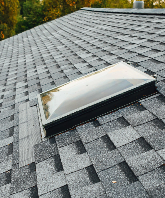 skylight installation services
